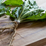 dandelion root detoxifying