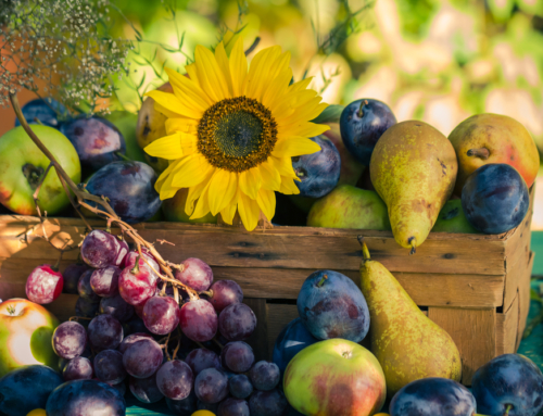 Transitioning Your Garden from Summer to Fall